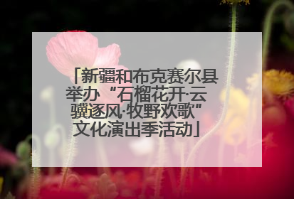 新疆和布克赛尔县举办“石榴花开·云骥逐风·牧野欢歌”文化演出季活动