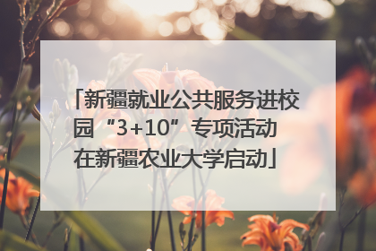 新疆就业公共服务进校园“3+10”专项活动在新疆农业大学启动