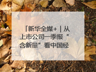 新华全媒+｜从上市公司一季报“含新量”看中国经济发展向“新”