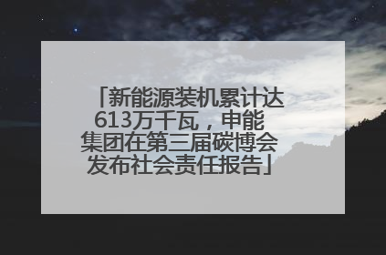 新能源装机累计达613万千瓦，申能集团在第三届碳博会发布社会责任报告