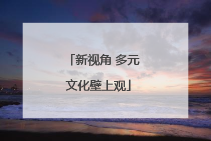 新视角 多元文化壁上观