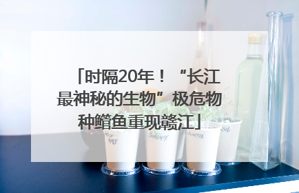 时隔20年！“长江最神秘的生物”极危物种鳤鱼重现赣江