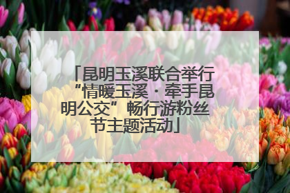 昆明玉溪联合举行“情暖玉溪・牵手昆明公交”畅行游粉丝节主题活动