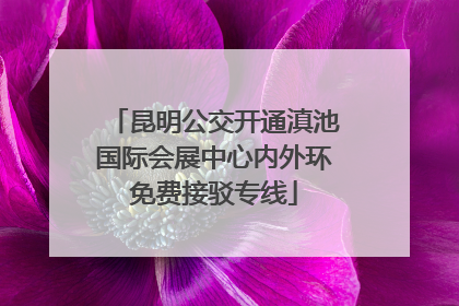 昆明公交开通滇池国际会展中心内外环免费接驳专线