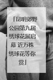 昆明郊野公园第九届绣球花展启幕 近万株绣球花等你赏