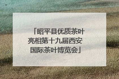 昭平县优质茶叶亮相第十九届西安国际茶叶博览会