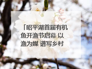 昭平湖首届有机鱼开渔节启幕 以渔为媒 谱写乡村振兴新篇章