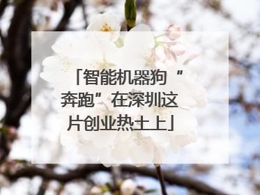 智能机器狗“奔跑”在深圳这片创业热土上