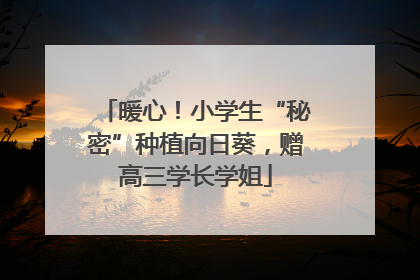 暖心！小学生“秘密”种植向日葵，赠高三学长学姐