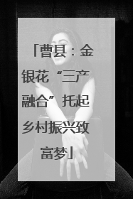 曹县：金银花“三产融合”托起乡村振兴致富梦
