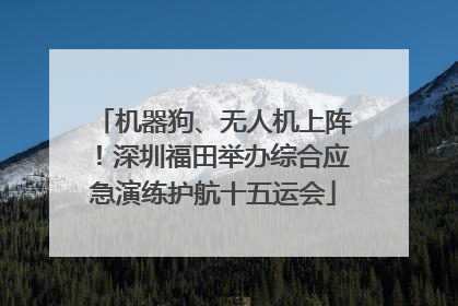 机器狗、无人机上阵！深圳福田举办综合应急演练护航十五运会
