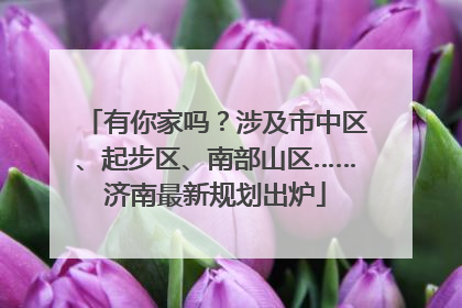 有你家吗？涉及市中区、起步区、南部山区……济南最新规划出炉