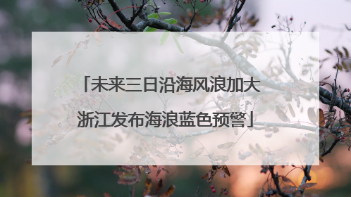 未来三日沿海风浪加大 浙江发布海浪蓝色预警