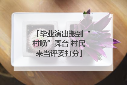 毕业演出搬到“村晚”舞台 村民来当评委打分