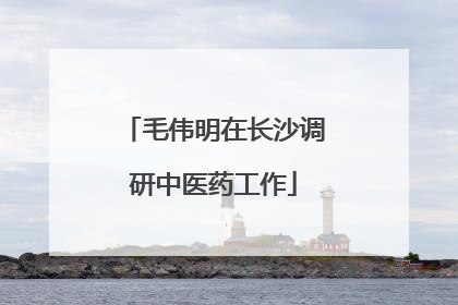 毛伟明在长沙调研中医药工作