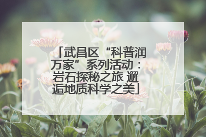 武昌区“科普润万家”系列活动：岩石探秘之旅 邂逅地质科学之美