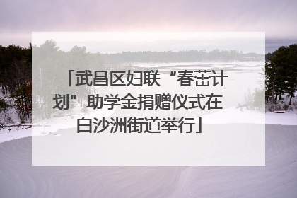 武昌区妇联“春蕾计划”助学金捐赠仪式在白沙洲街道举行