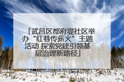 武昌区都府堤社区举办“红巷传薪火”主题活动 探索党建引领基层治理新路径