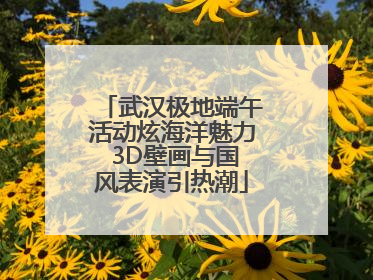 武汉极地端午活动炫海洋魅力 3D壁画与国风表演引热潮