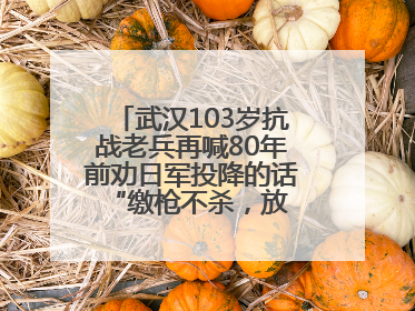 武汉103岁抗战老兵再喊80年前劝日军投降的话 “缴枪不杀，放你回家”