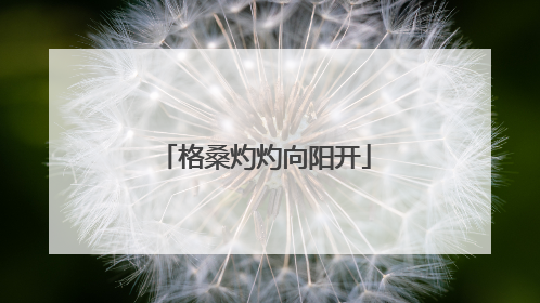 格桑灼灼向阳开
