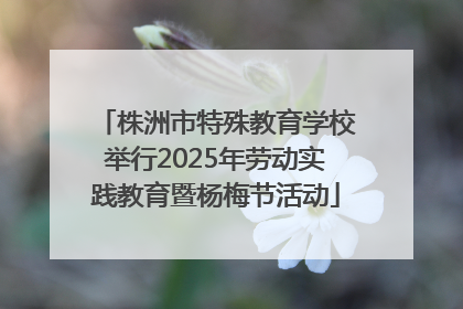 株洲市特殊教育学校举行2025年劳动实践教育暨杨梅节活动