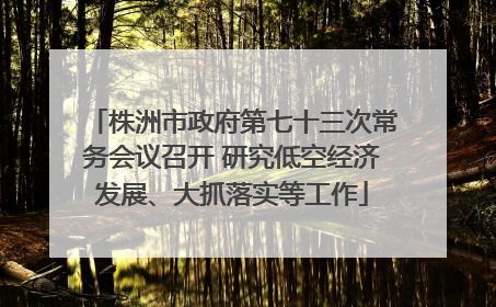 株洲市政府第七十三次常务会议召开 研究低空经济发展、大抓落实等工作