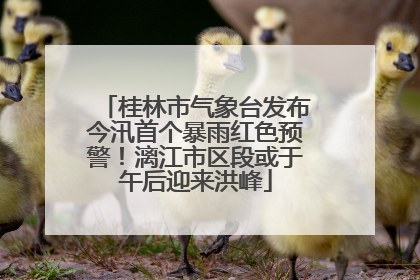 桂林市气象台发布今汛首个暴雨红色预警！漓江市区段或于午后迎来洪峰