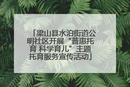 梁山县水泊街道公明社区开展“普惠托育 科学育儿”主题托育服务宣传活动