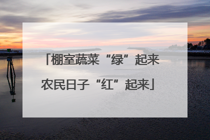 棚室蔬菜“绿”起来 农民日子“红”起来