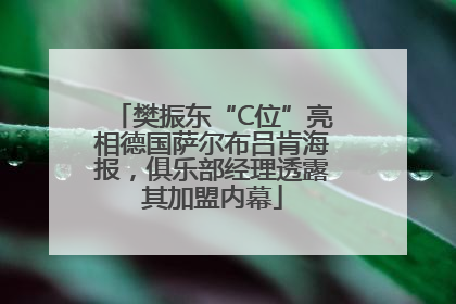 樊振东“C位”亮相德国萨尔布吕肯海报，俱乐部经理透露其加盟内幕