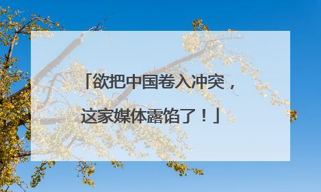 欲把中国卷入冲突，这家媒体露馅了！
