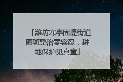 潍坊寒亭固堤街道图斑整治零容忍，耕地保护见真章