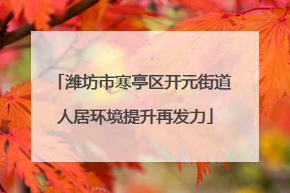 潍坊市寒亭区开元街道人居环境提升再发力