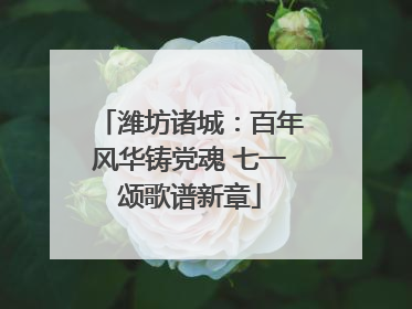潍坊诸城：百年风华铸党魂 七一颂歌谱新章
