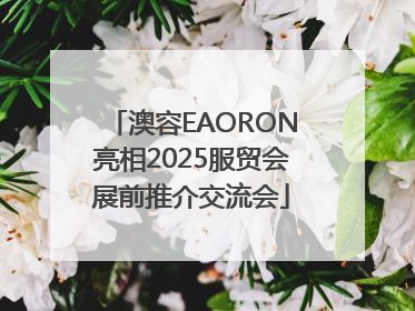澳容EAORON亮相2025服贸会展前推介交流会