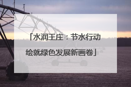 水润王庄：节水行动绘就绿色发展新画卷
