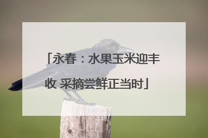永春：水果玉米迎丰收 采摘尝鲜正当时