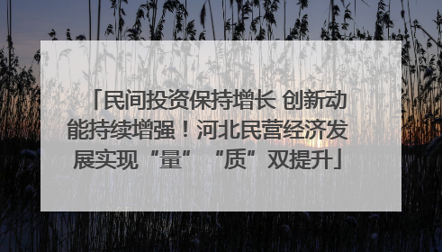 民间投资保持增长 创新动能持续增强！河北民营经济发展实现“量”“质”双提升