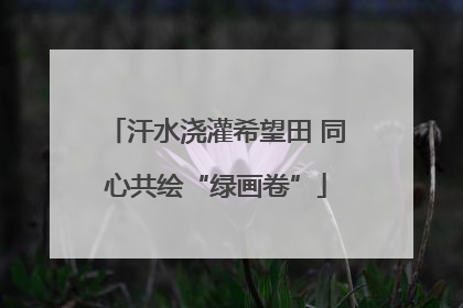 汗水浇灌希望田 同心共绘“绿画卷”
