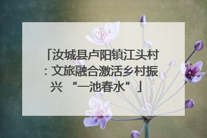 汝城县卢阳镇江头村：文旅融合激活乡村振兴 “一池春水”
