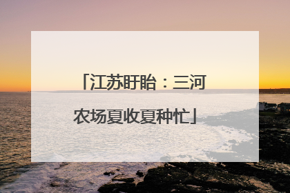 江苏盱眙：三河农场夏收夏种忙