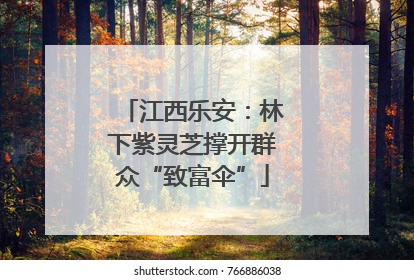江西乐安：林下紫灵芝撑开群众“致富伞”