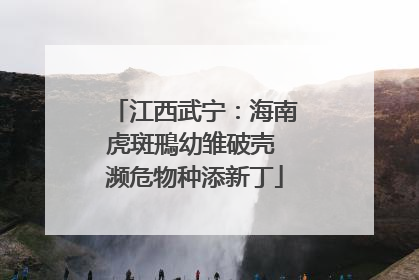 江西武宁：海南虎斑鳽幼雏破壳 濒危物种添新丁