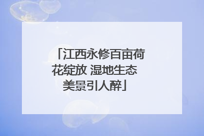 江西永修百亩荷花绽放 湿地生态美景引人醉