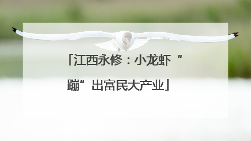 江西永修：小龙虾“蹦”出富民大产业