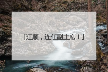 汪顺，连任副主席！