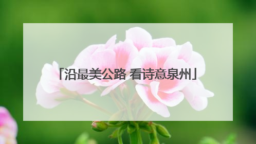 沿最美公路 看诗意泉州