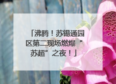 沸腾！苏锡通园区第二现场燃爆“苏超”之夜！