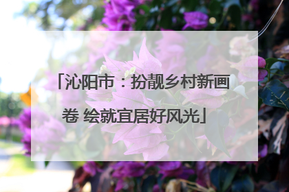 沁阳市：扮靓乡村新画卷 绘就宜居好风光